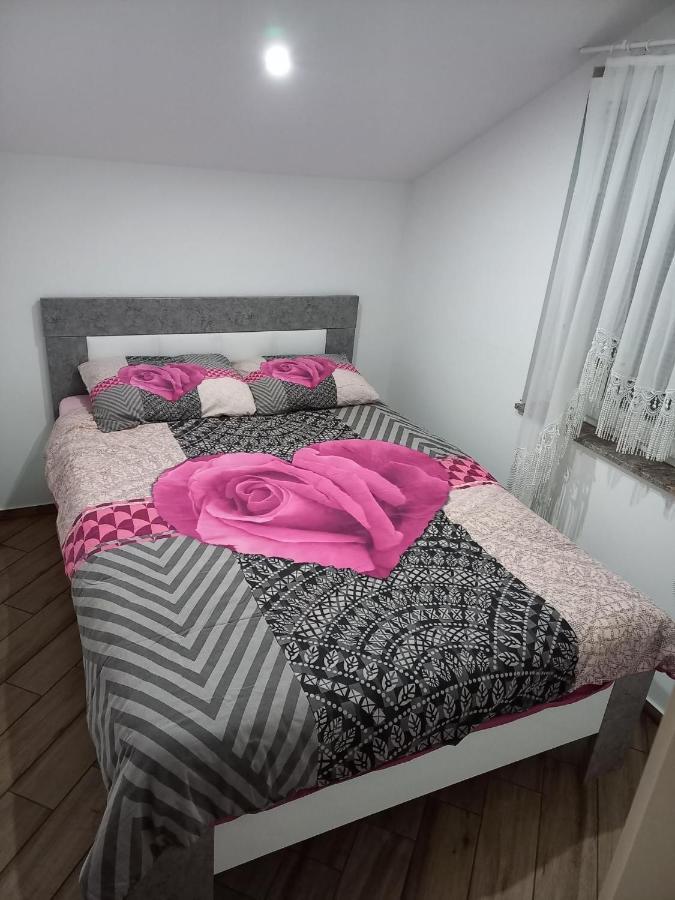 Apartament Nastanitev Nika Rogaška Slatina Zewnętrze zdjęcie